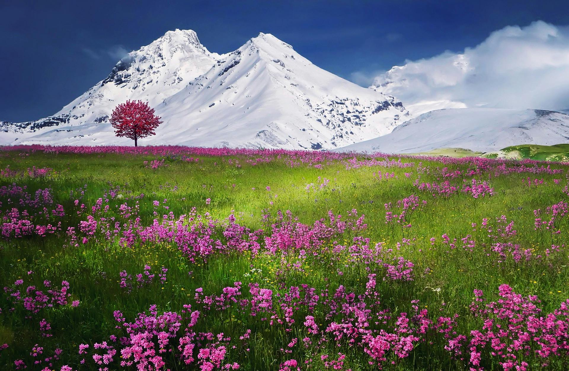 nature-image